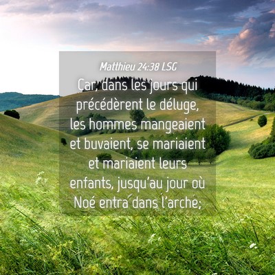 Picture 04 - Matthieu 24:38 LSG - Car, dans les jours qui précédèrent le - Bible Verse Picture