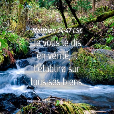 Picture 04 - Matthieu 24:47 LSG - Je vous le dis en vérité, il l'établira sur - Bible Verse Picture