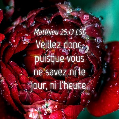Picture 04 - Matthieu 25:13 LSG - Veillez donc, puisque vous ne savez ni le jour, - Bible Verse Picture