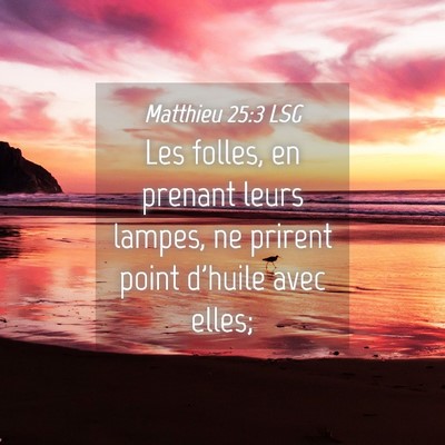 Picture 04 - Matthieu 25:3 LSG - Les folles, en prenant leurs lampes, ne prirent - Bible Verse Picture