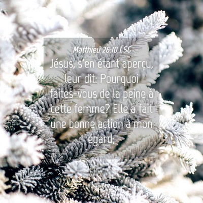Picture 04 - Matthieu 26:10 LSG - Jésus, s'en étant aperçu, leur dit: Pourquoi - Bible Verse Picture