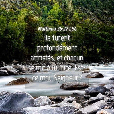 Picture 04 - Matthieu 26:22 LSG - Ils furent profondément attristés, et chacun se - Bible Verse Picture