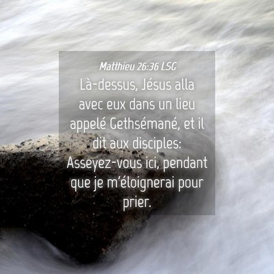Picture 04 - Matthieu 26:36 LSG - Là-dessus, Jésus alla avec eux dans un lieu - Bible Verse Picture