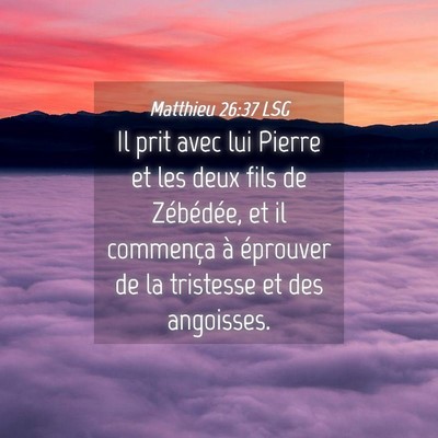 Picture 04 - Matthieu 26:37 LSG - Il prit avec lui Pierre et les deux fils de - Bible Verse Picture