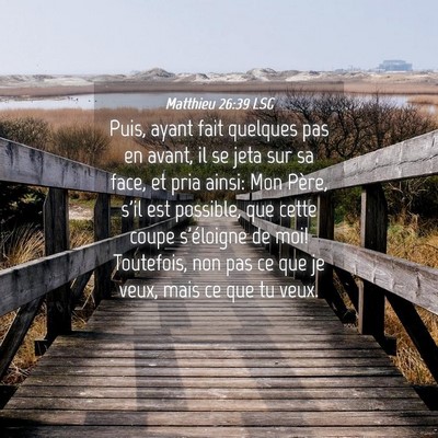 Picture 04 - Matthieu 26:39 LSG - Puis, ayant fait quelques pas en avant, il se - Bible Verse Picture