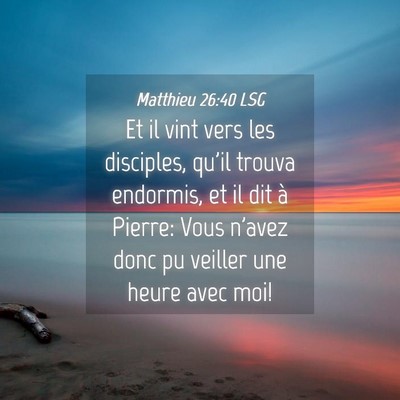 Picture 04 - Matthieu 26:40 LSG - Et il vint vers les disciples, qu'il trouva - Bible Verse Picture