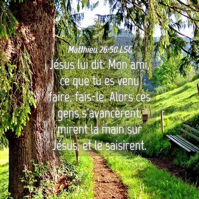 Picture 04 - Matthieu 26:50 LSG - Jésus lui dit: Mon ami, ce que tu es venu faire, - Bible Verse Picture