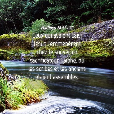 Picture 04 - Matthieu 26:57 LSG - Ceux qui avaient saisi Jésus l'emmenèrent chez - Bible Verse Picture