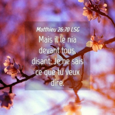 Picture 04 - Matthieu 26:70 LSG - Mais il le nia devant tous, disant: Je ne sais ce - Bible Verse Picture