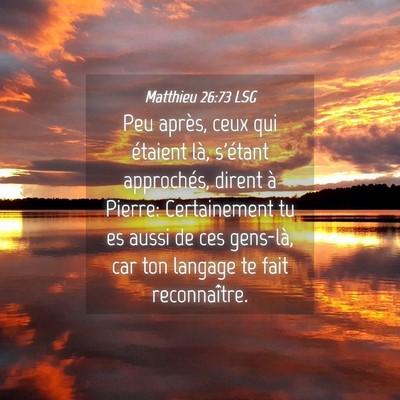 Picture 04 - Matthieu 26:73 LSG - Peu après, ceux qui étaient là, s'étant - Bible Verse Picture