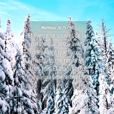 Picture 04 - Matthieu 26:75 LSG - Et Pierre se souvint de la parole que Jésus - Bible Verse Picture