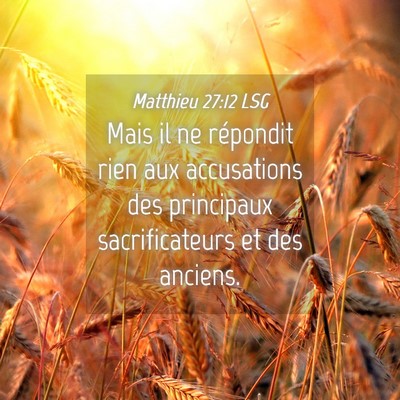 Picture 04 - Matthieu 27:12 LSG - Mais il ne répondit rien aux accusations des - Bible Verse Picture
