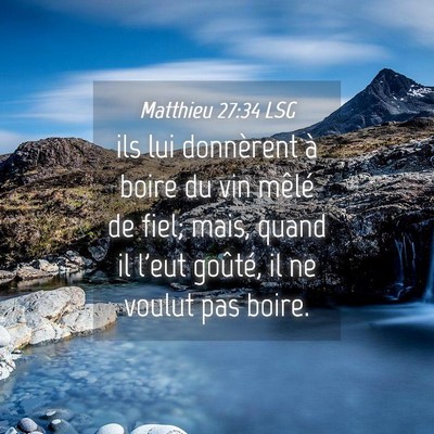 Picture 04 - Matthieu 27:34 LSG - ils lui donnèrent à boire du vin mêlé de - Bible Verse Picture