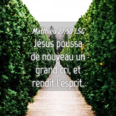 Picture 04 - Matthieu 27:50 LSG - Jésus poussa de nouveau un grand cri, et rendit - Bible Verse Picture