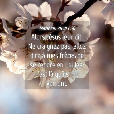 Picture 04 - Matthieu 28:10 LSG - Alors Jésus leur dit: Ne craignez pas; allez - Bible Verse Picture
