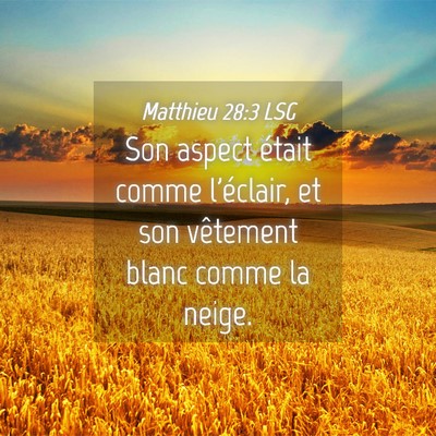 Picture 04 - Matthieu 28:3 LSG - Son aspect était comme l'éclair, et son - Bible Verse Picture