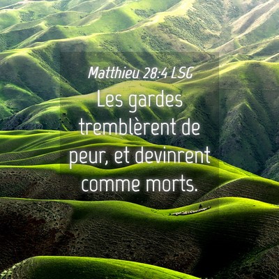 Picture 04 - Matthieu 28:4 LSG - Les gardes tremblèrent de peur, et devinrent - Bible Verse Picture