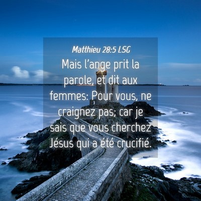 Picture 04 - Matthieu 28:5 LSG - Mais l'ange prit la parole, et dit aux femmes: - Bible Verse Picture