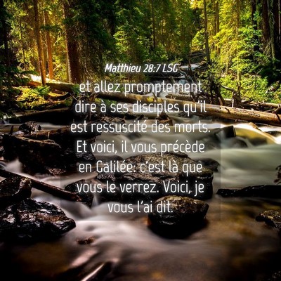 Picture 04 - Matthieu 28:7 LSG - et allez promptement dire à ses disciples qu'il - Bible Verse Picture