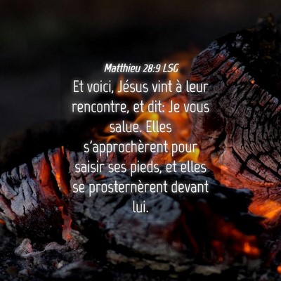 Picture 04 - Matthieu 28:9 LSG - Et voici, Jésus vint à leur rencontre, et dit: - Bible Verse Picture