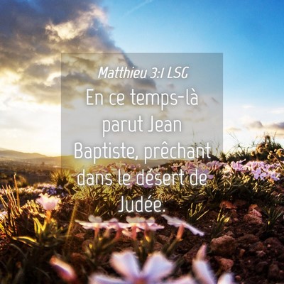 Picture 04 - Matthieu 3:1 LSG - En ce temps-là parut Jean Baptiste, prêchant - Bible Verse Picture
