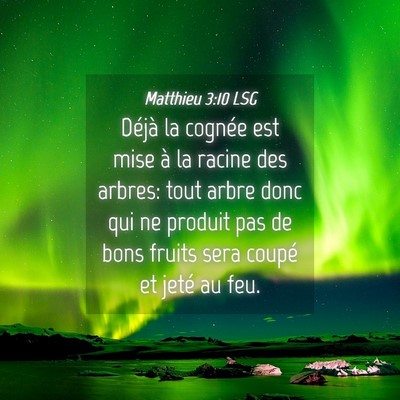 Picture 04 - Matthieu 3:10 LSG - Déjà la cognée est mise à la racine des - Bible Verse Picture