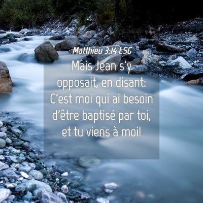 Picture 04 - Matthieu 3:14 LSG - Mais Jean s'y opposait, en disant: C'est moi qui - Bible Verse Picture