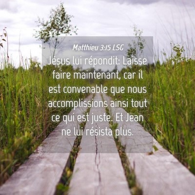 Picture 04 - Matthieu 3:15 LSG - Jésus lui répondit: Laisse faire maintenant, - Bible Verse Picture