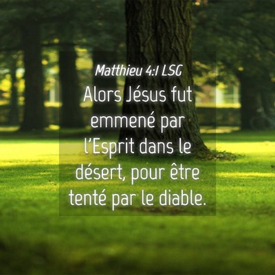 Picture 04 - Matthieu 4:1 LSG - Alors Jésus fut emmené par l'Esprit dans le - Bible Verse Picture