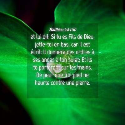 Picture 04 - Matthieu 4:6 LSG - et lui dit: Si tu es Fils de Dieu, jette-toi en - Bible Verse Picture