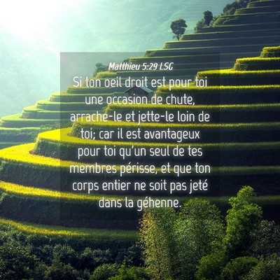 Picture 04 - Matthieu 5:29 LSG - Si ton oeil droit est pour toi une occasion de - Bible Verse Picture