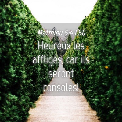 Picture 04 - Matthieu 5:4 LSG - Heureux les affligés, car ils seront - Bible Verse Picture
