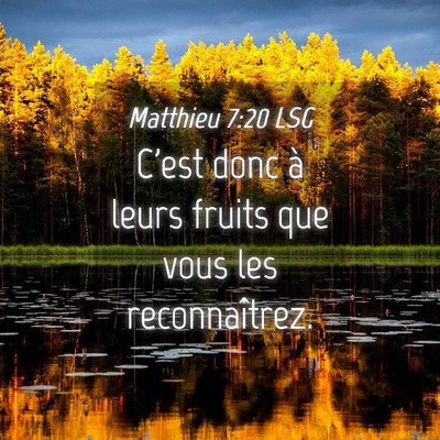 Picture 04 - Matthieu 7:20 LSG - C'est donc à leurs fruits que vous les - Bible Verse Picture