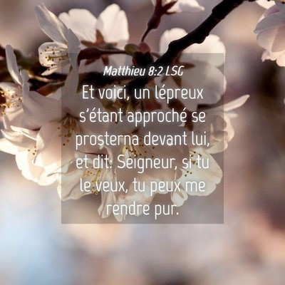 Picture 04 - Matthieu 8:2 LSG - Et voici, un lépreux s'étant approché se - Bible Verse Picture