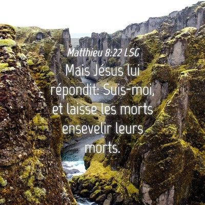 Picture 04 - Matthieu 8:22 LSG - Mais Jésus lui répondit: Suis-moi, et laisse - Bible Verse Picture