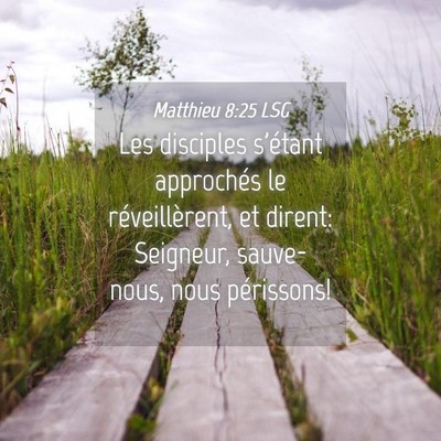 Picture 04 - Matthieu 8:25 LSG - Les disciples s'étant approchés le - Bible Verse Picture