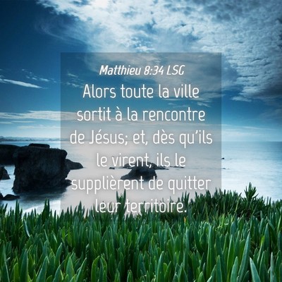 Picture 04 - Matthieu 8:34 LSG - Alors toute la ville sortit à la rencontre de - Bible Verse Picture