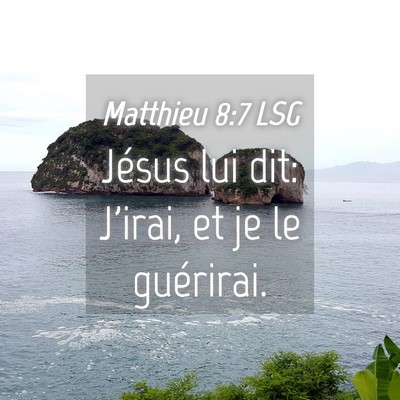 Picture 04 - Matthieu 8:7 LSG - Jésus lui dit: J'irai, et je le - Bible Verse Picture