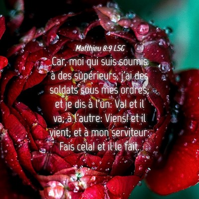 Picture 04 - Matthieu 8:9 LSG - Car, moi qui suis soumis à des supérieurs, j'ai - Bible Verse Picture