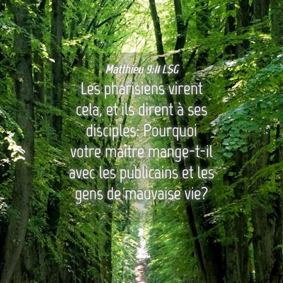 Picture 04 - Matthieu 9:11 LSG - Les pharisiens virent cela, et ils dirent à ses - Bible Verse Picture