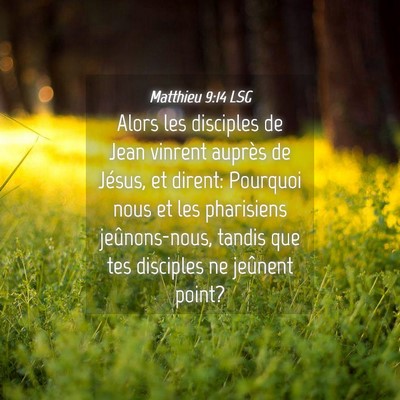 Picture 04 - Matthieu 9:14 LSG - Alors les disciples de Jean vinrent auprès de - Bible Verse Picture