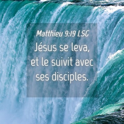 Picture 04 - Matthieu 9:19 LSG - Jésus se leva, et le suivit avec ses - Bible Verse Picture