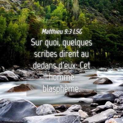 Picture 04 - Matthieu 9:3 LSG - Sur quoi, quelques scribes dirent au dedans - Bible Verse Picture