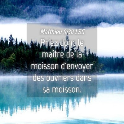 Picture 04 - Matthieu 9:38 LSG - Priez donc le maître de la moisson d'envoyer des - Bible Verse Picture