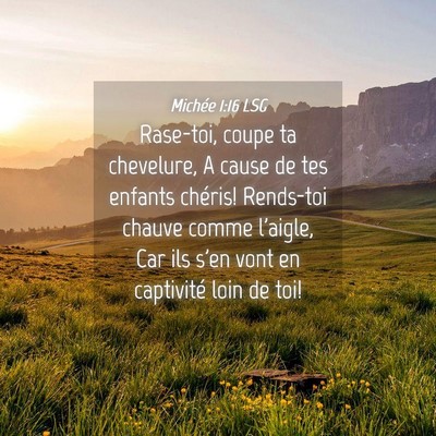 Picture 04 - Michée 1:16 LSG - Rase-toi, coupe ta chevelure, A cause de tes - Bible Verse Picture