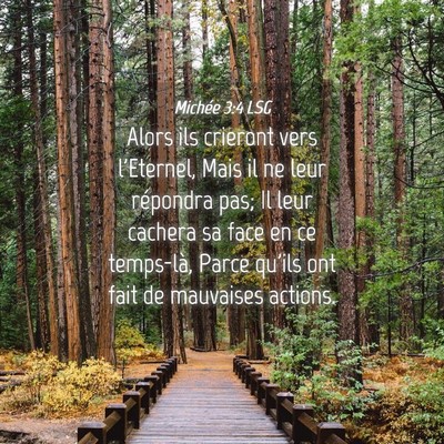 Picture 04 - Michée 3:4 LSG - Alors ils crieront vers l'Eternel, Mais il ne - Bible Verse Picture