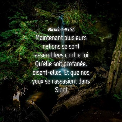 Picture 04 - Michée 4:11 LSG - Maintenant plusieurs nations se sont rassemblées - Bible Verse Picture