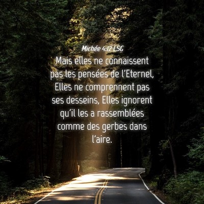Picture 04 - Michée 4:12 LSG - Mais elles ne connaissent pas les pensées de - Bible Verse Picture