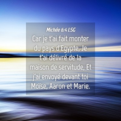 Picture 04 - Michée 6:4 LSG - Car je t'ai fait monter du pays d'Egypte, Je t'ai - Bible Verse Picture