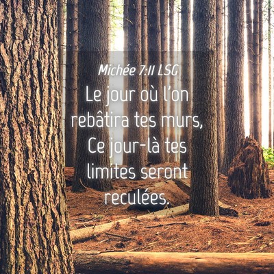 Picture 04 - Michée 7:11 LSG - Le jour où l'on rebâtira tes murs, Ce jour-là - Bible Verse Picture